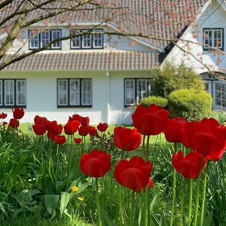 Haack * Tümlauer Koog