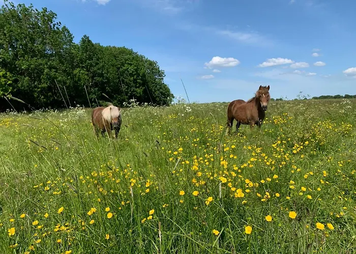 Appartamento Haack *